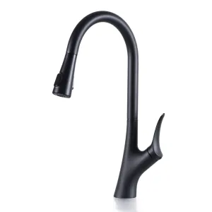 Kitchen Faucet with Pull Out Spray Dual Mode Nozzle Hot and Cold Kitchen Sink Mixer Tap JK0203